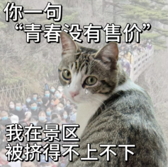 202505071511434102.Png